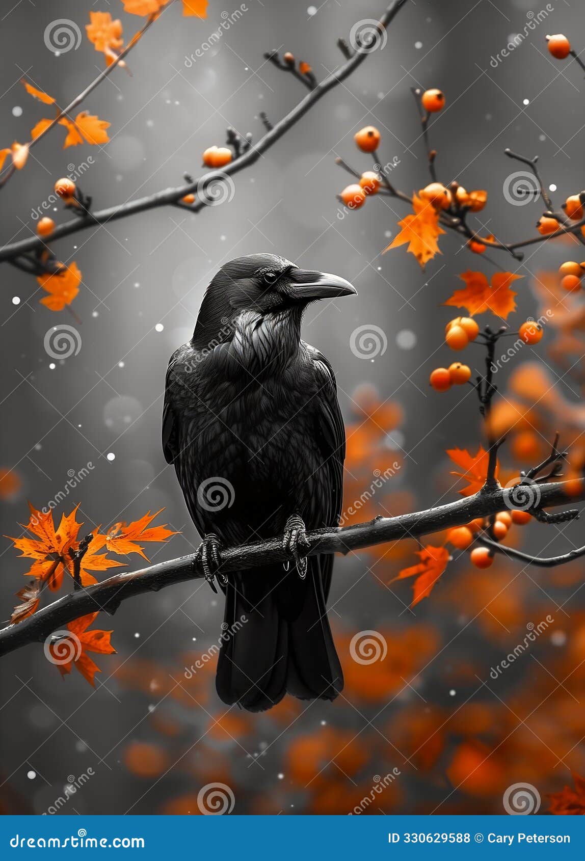 autumn's enchanting blackbird: a captivating display of unusual