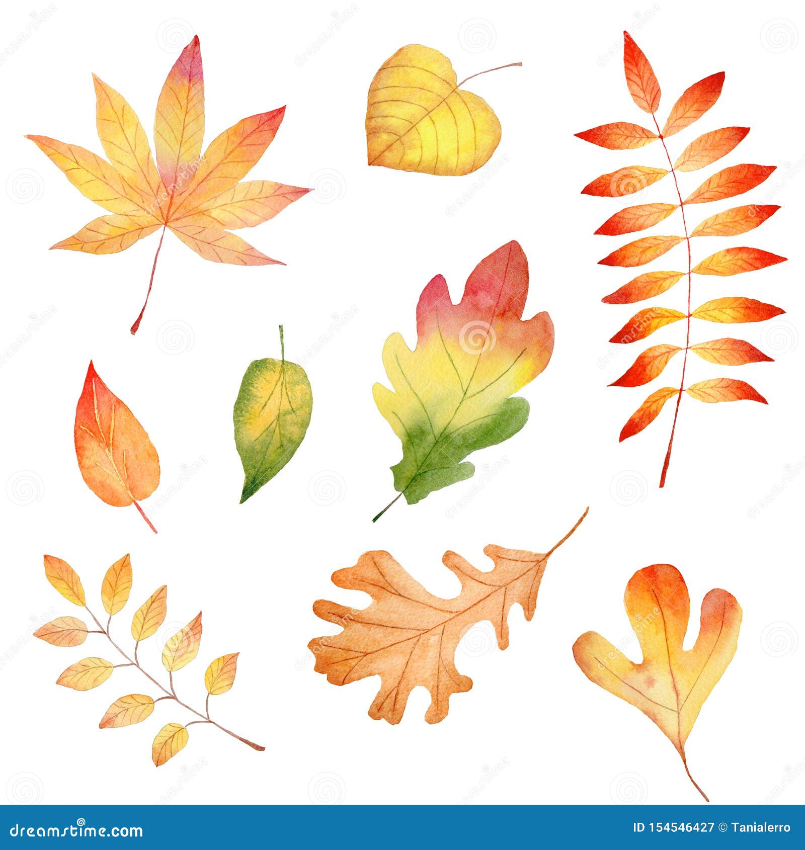 autumn season forest leafage watercolor raster s set