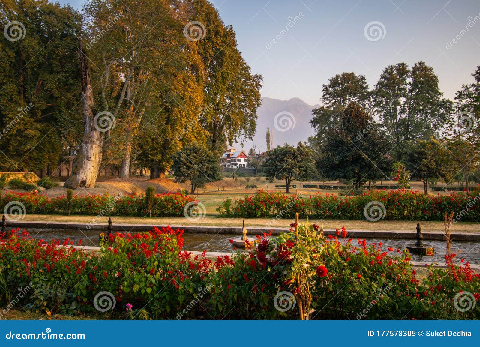 Featured image of post Kashmir Garden Images - Shalimar gardens kashmir on wn network delivers the latest videos and editable pages for news &amp; events, including entertainment, music, sports, science and more, sign up and share your playlists.