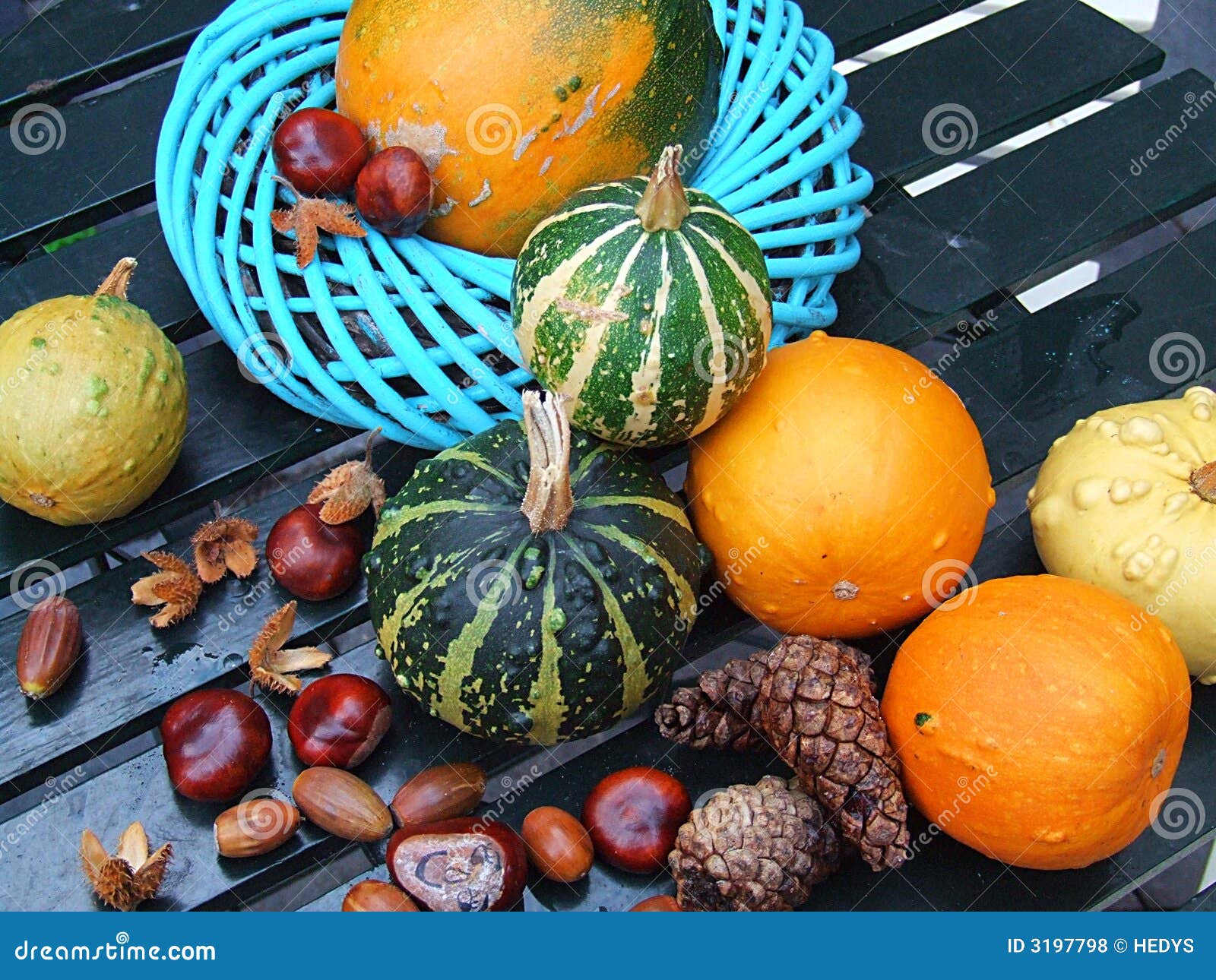 Autumn seasonal vegetables stock photo. Image of pumpkins 3197798