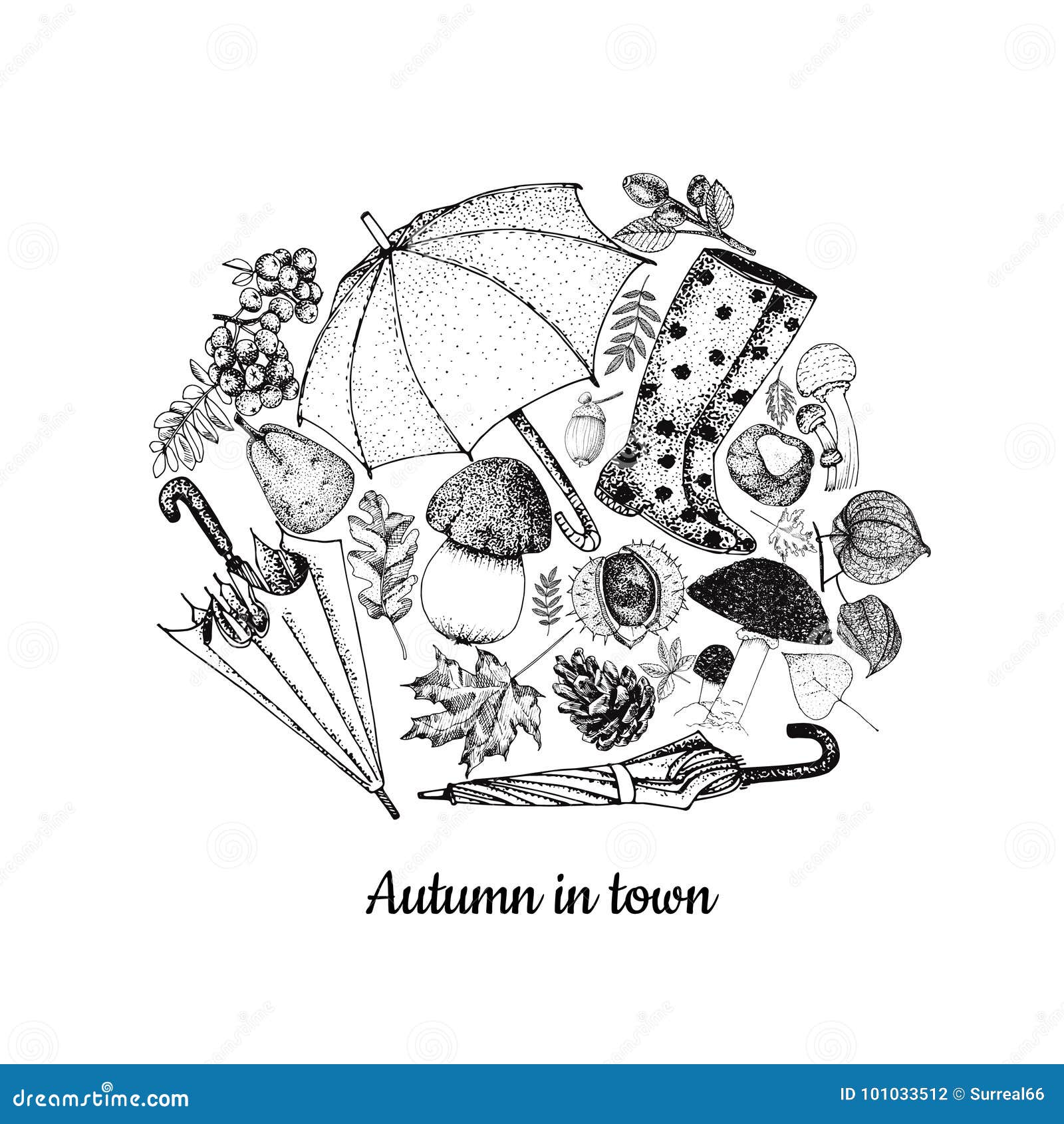 Hand Drawn Floral Elements For Autumn Stock Illustration  Download Image  Now  Autumn Leaf Doodle  iStock