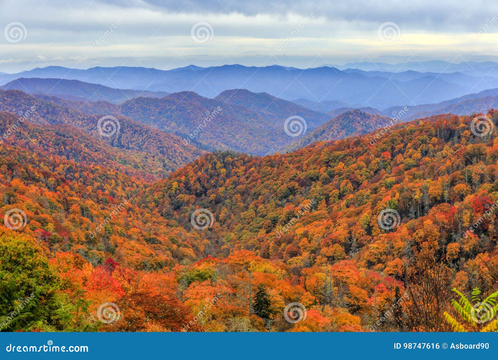 autumn scene in the great smoky mountains