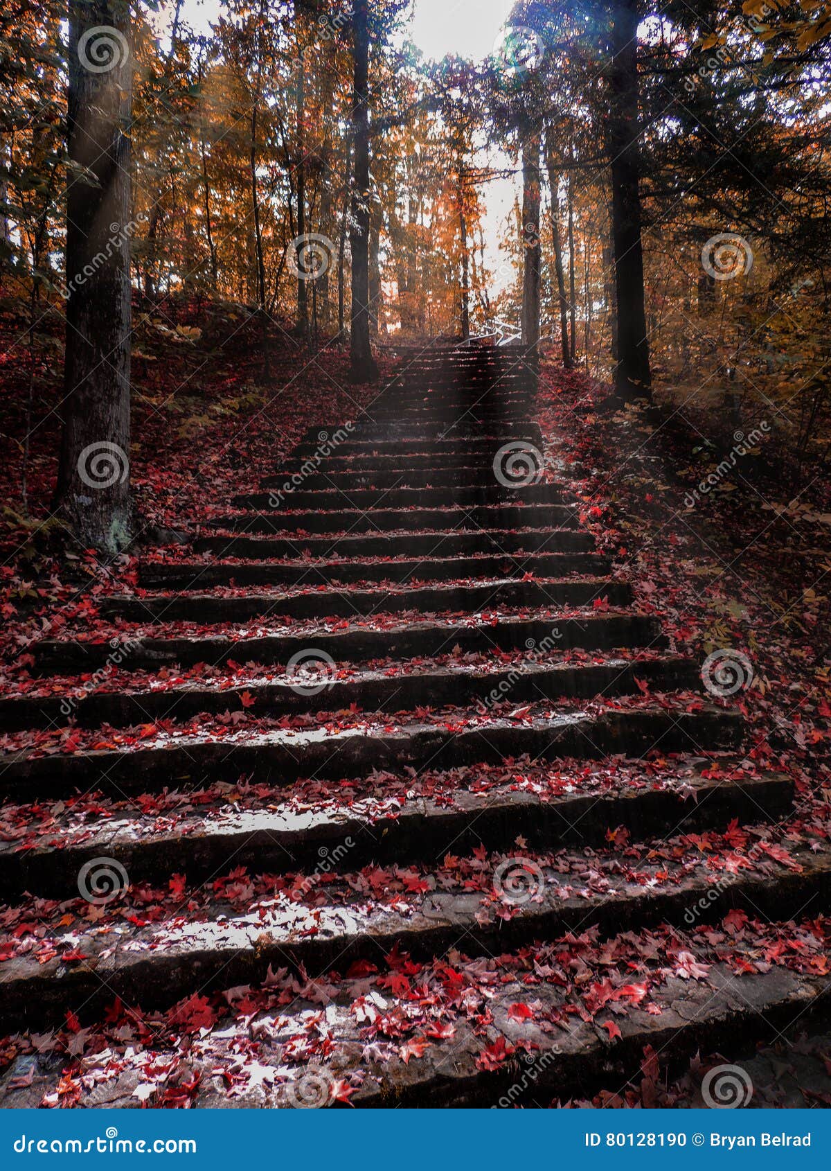 Autumn Stair stock photo. Image of touched, autumn, stair 80128190