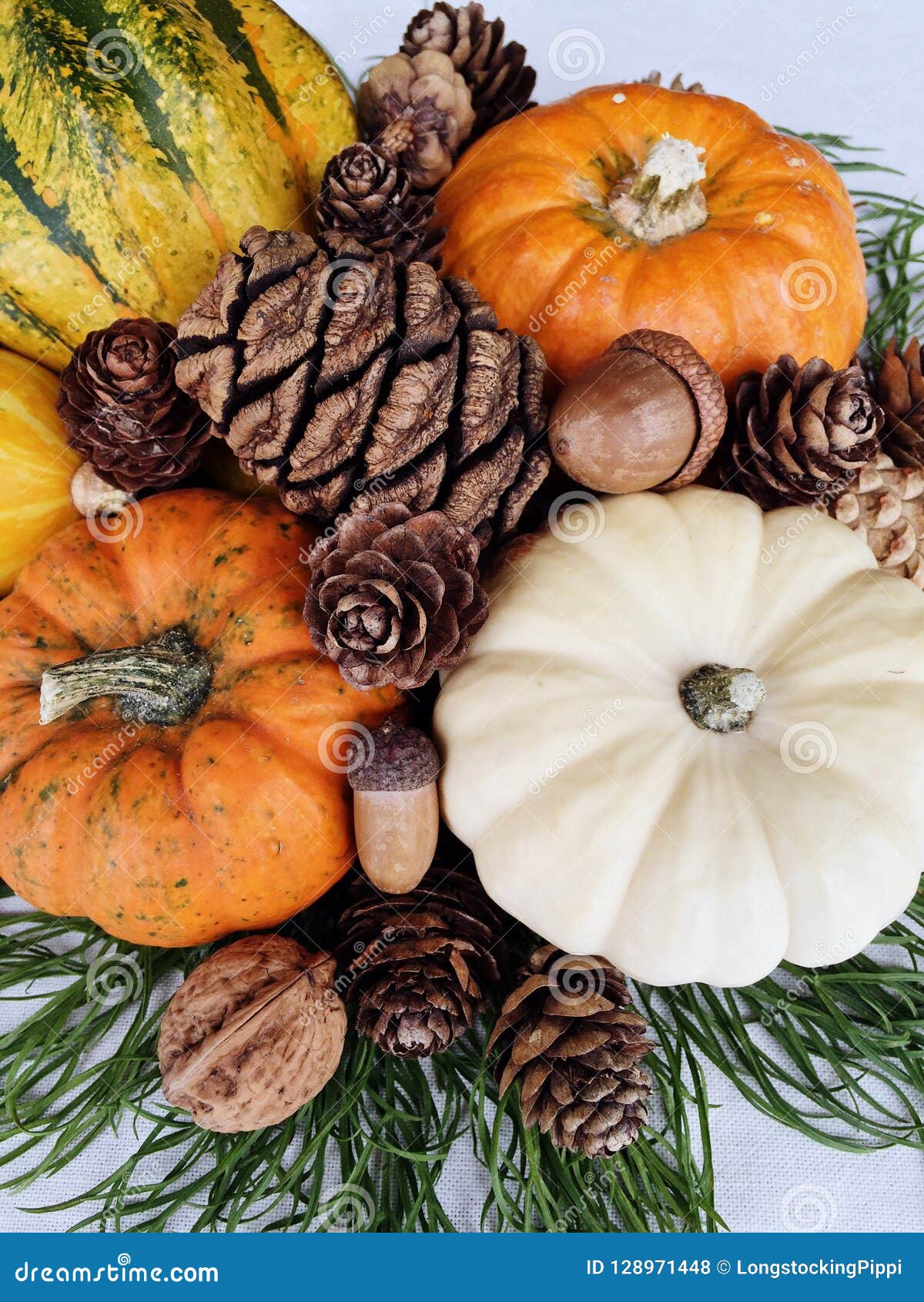 Autumn Still Life with Pumpkins and Pine Cones Stock Photo - Image of