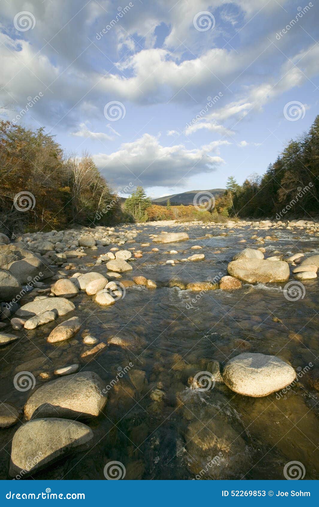 autumn stream in crawford notch state park in white mountains of new hampshire, new england