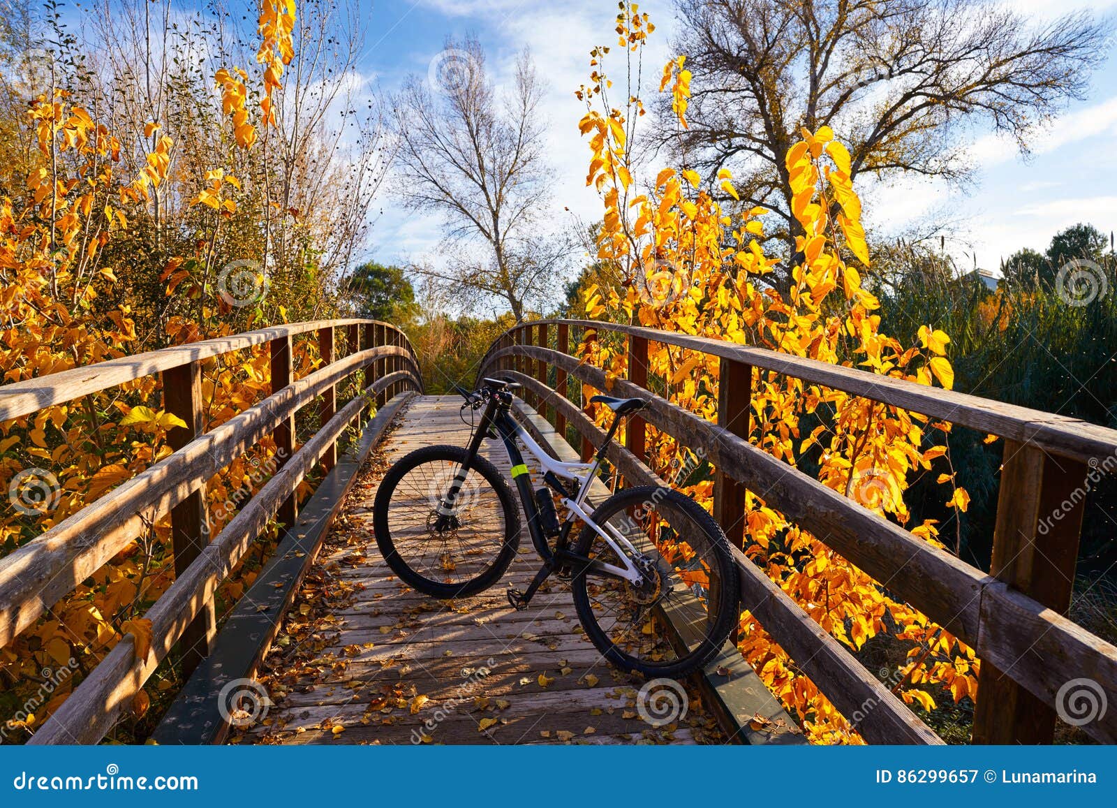 autumn sunset bike on bridge parque de turia