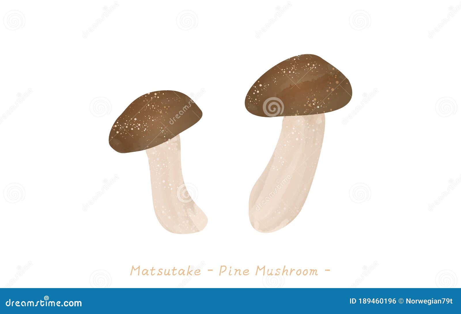 Autumn Taste, a Simple Mushroom Illustration Matsutake. Stock Vector