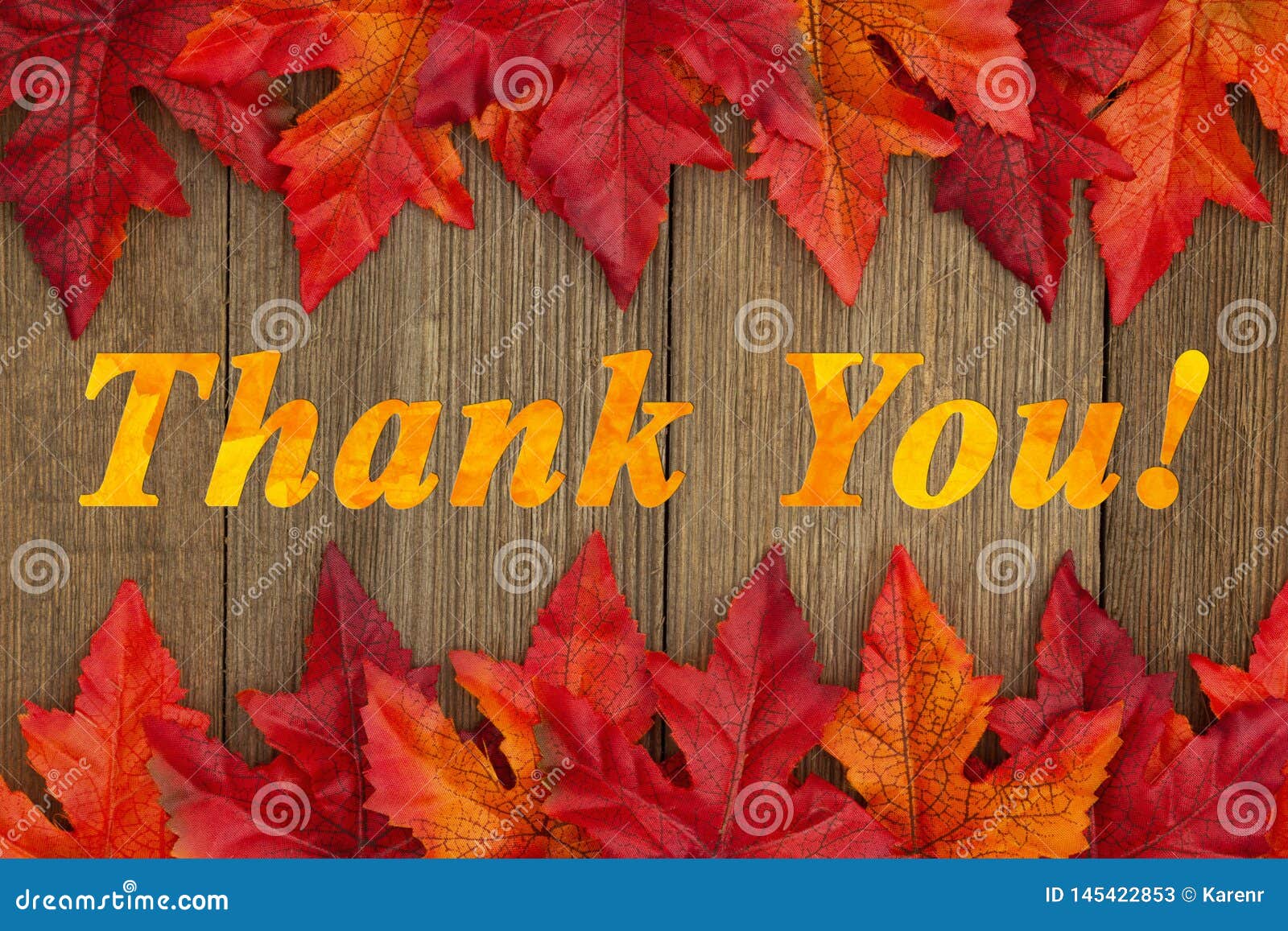 Autumn Thank You-bericht Met Dalingsbladeren Stock Afbeelding - Image ...