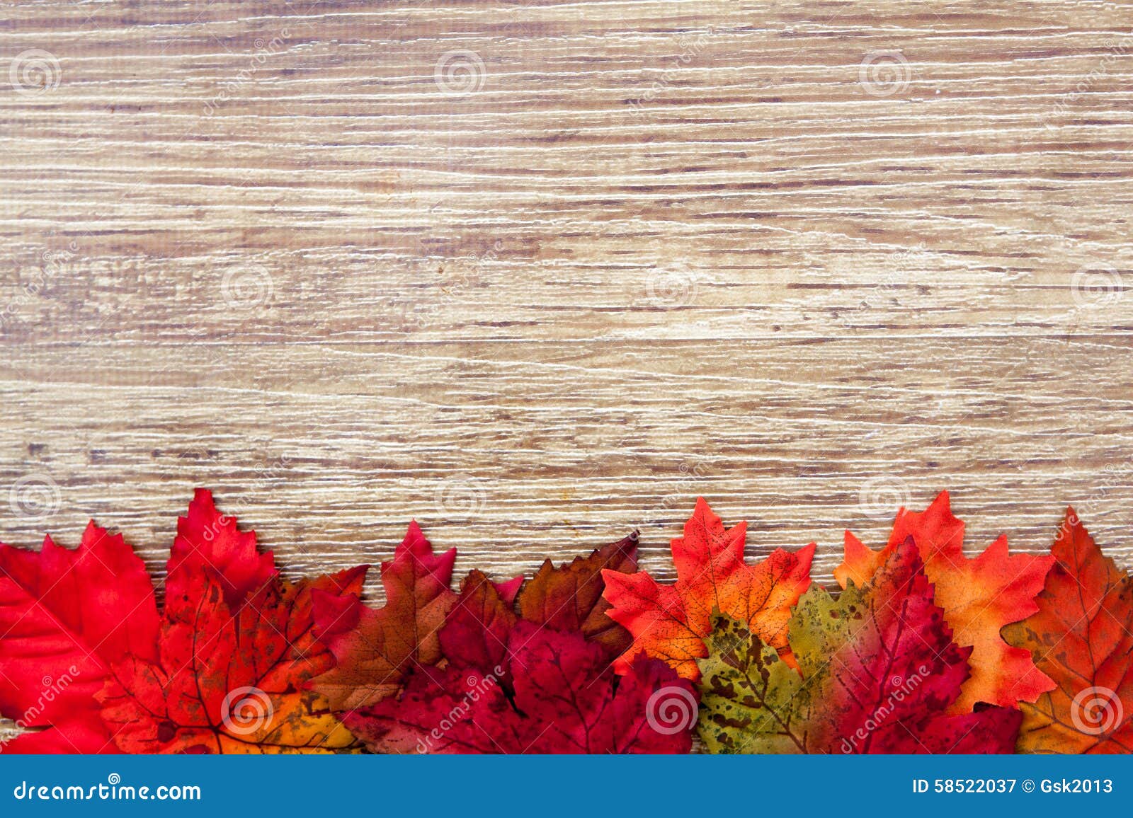 autumn thanksgiving background