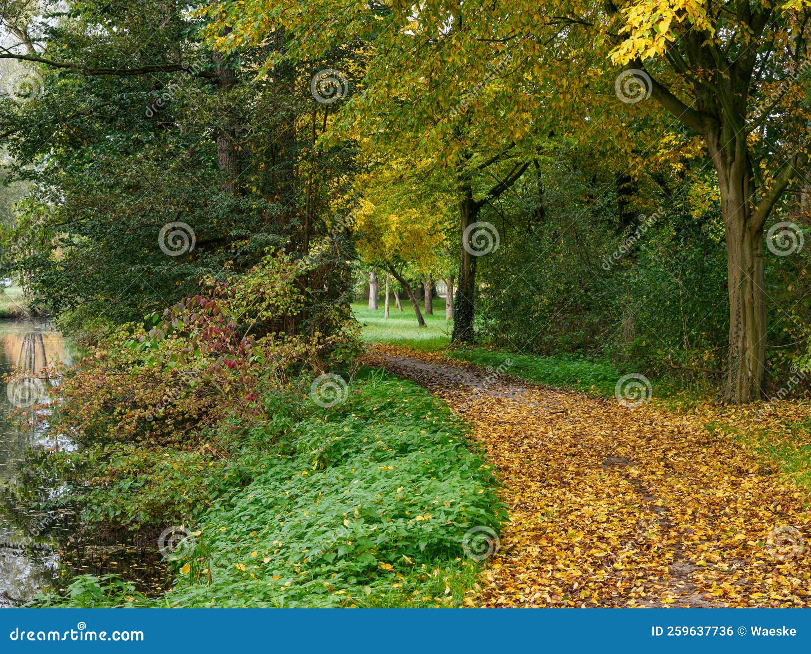 Autumn Time at a River in Germany Stock Photo Image of germany