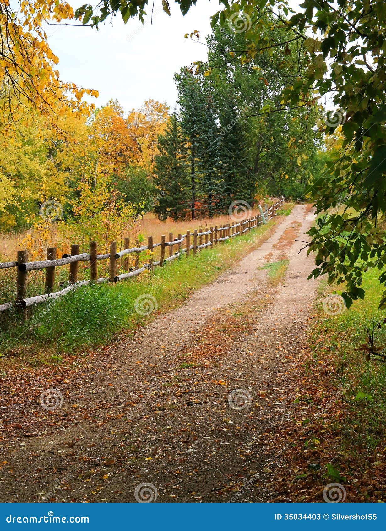 Autumn tranquility stock image. Image of nature, vertical - 35034403