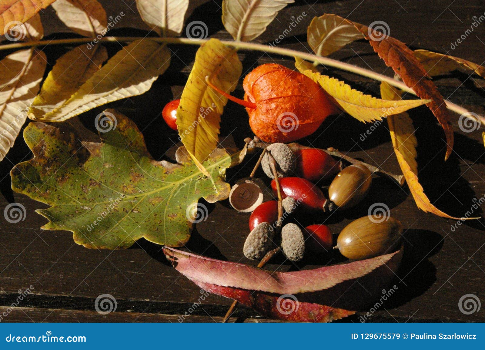 autumn treasures on table