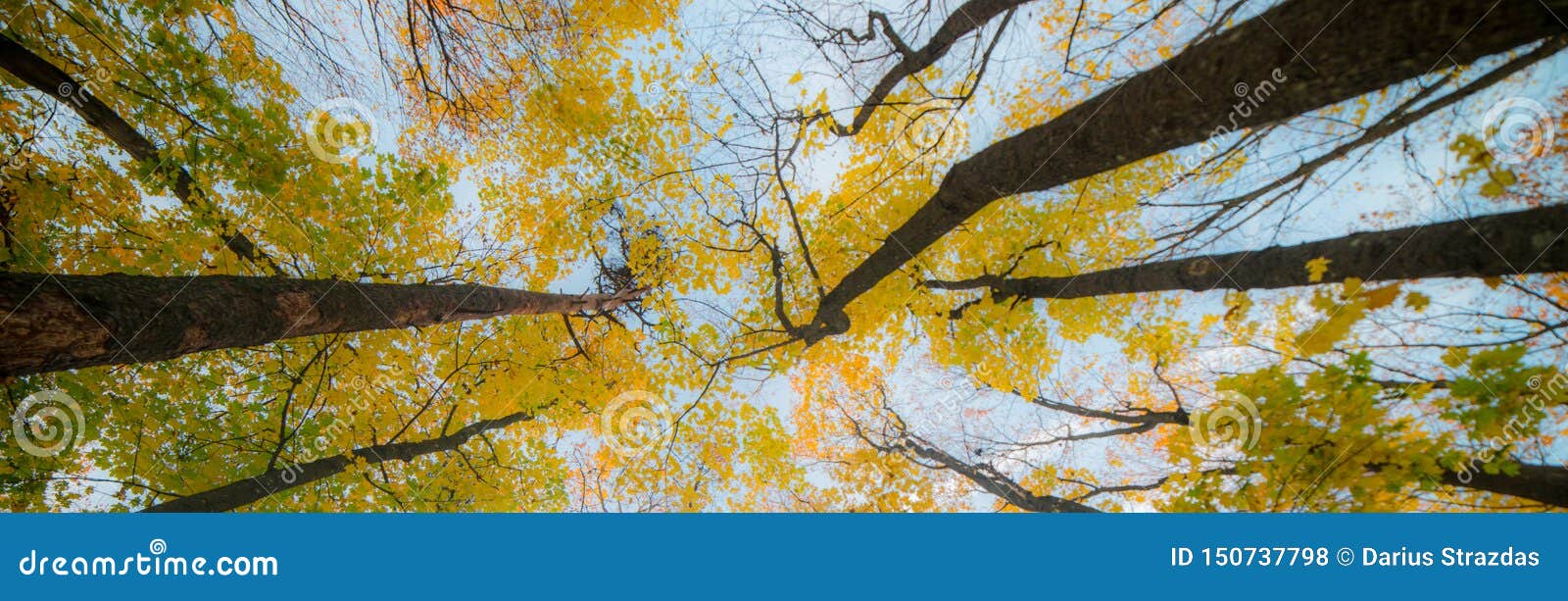 33,719 Angle Fall Stock Photos - Free \u0026 Royalty-Free Stock Photos from  Dreamstime, image size:1600x613