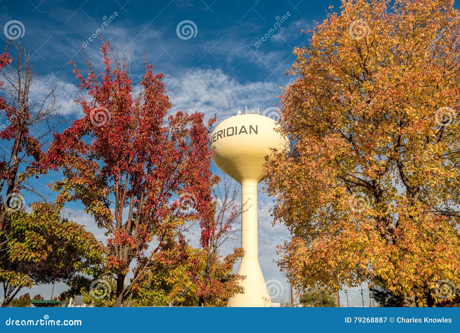 Autumn Trees and the Meridian Idaho Water Tower Stock Image Image of