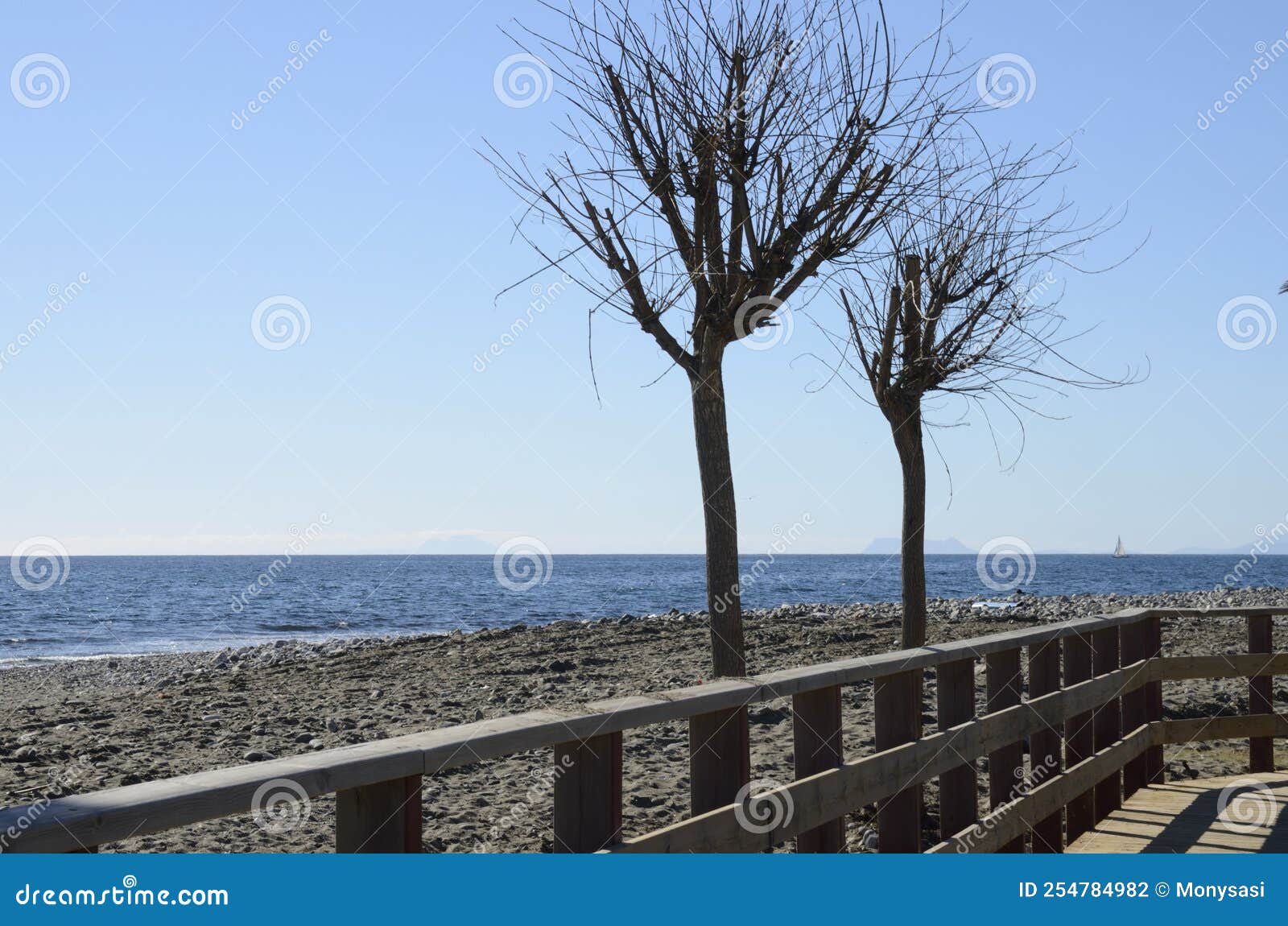 autumn trees next to litoral path