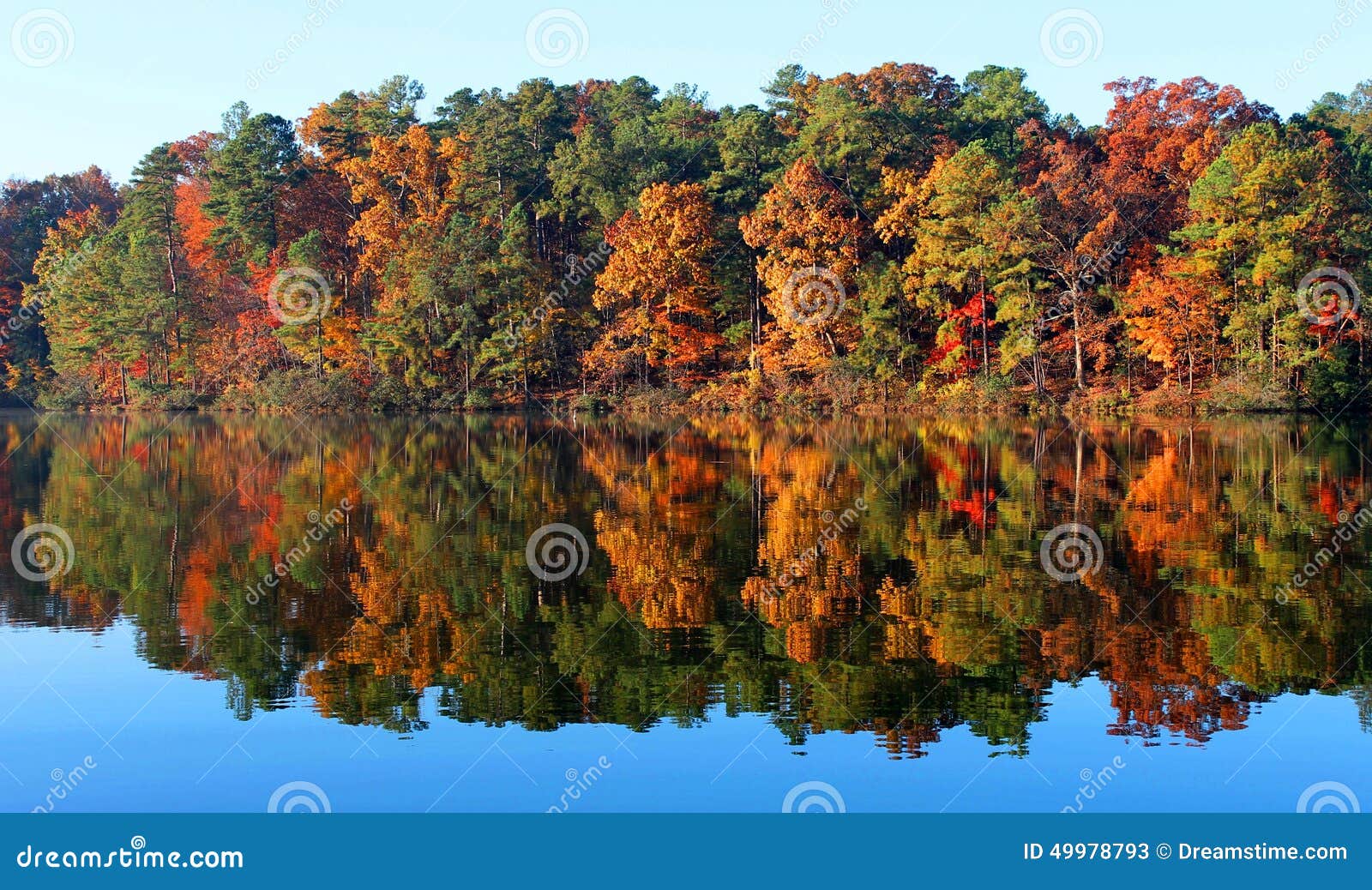 autumn trees in north carolina
