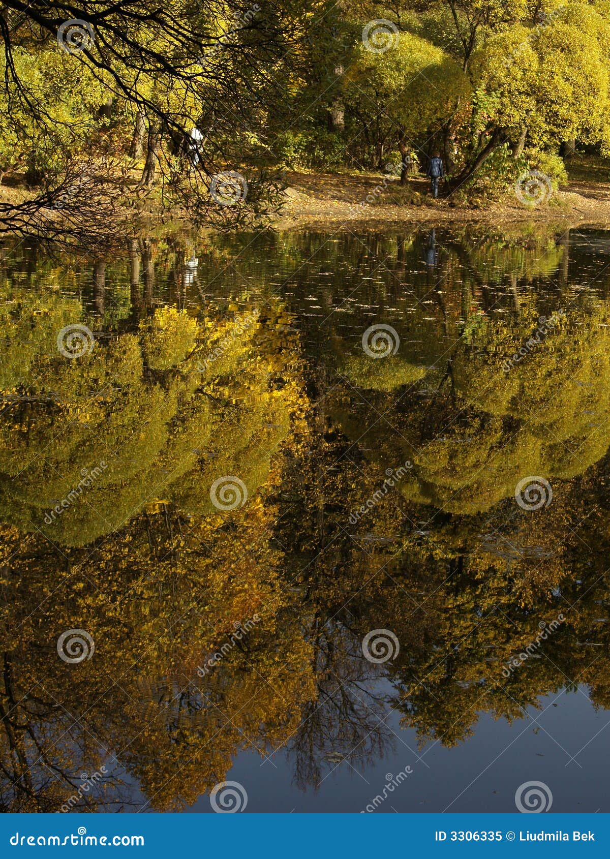 Autumn Trees Reflected On Lake Stock Image Image Of Pond Reflects