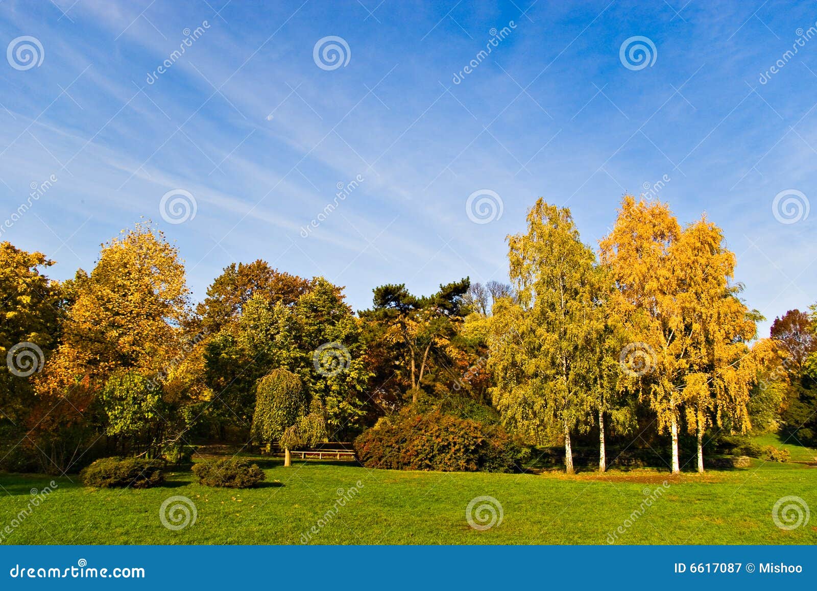Autumn trees and sky stock image. Image of ground, green - 6617087