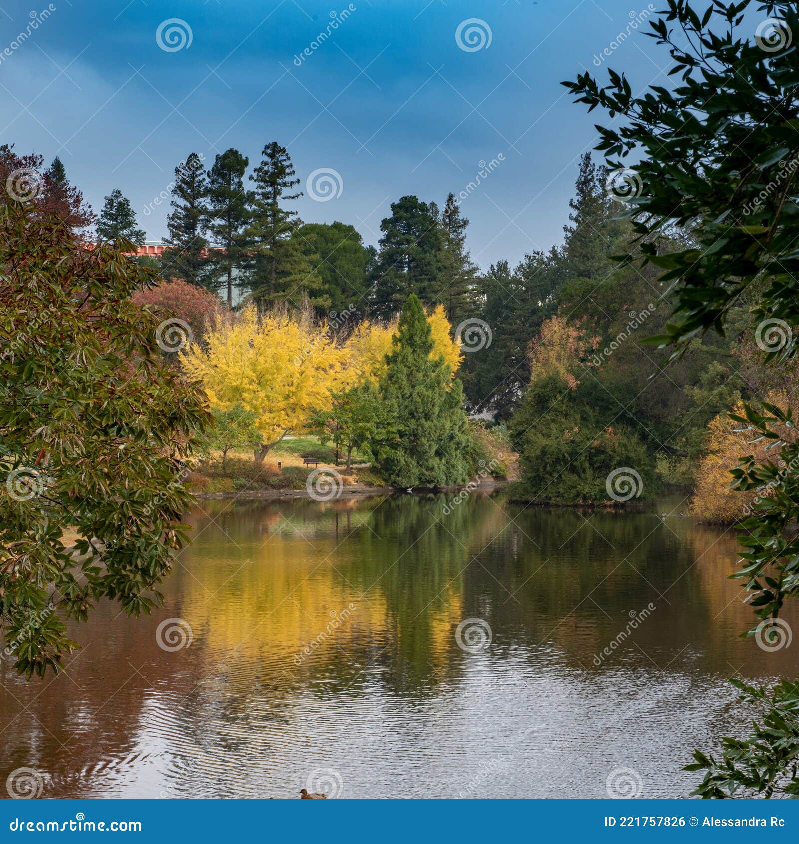 autumn at uc davis arboretum