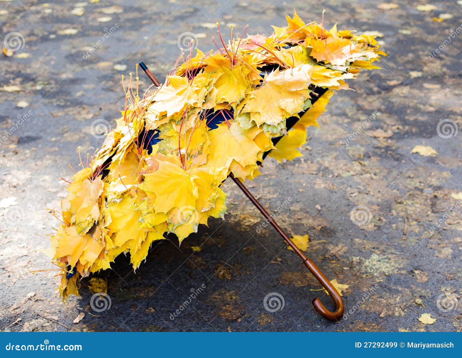 Autumn umbrella stock image. Image of object, umbrella 27292499