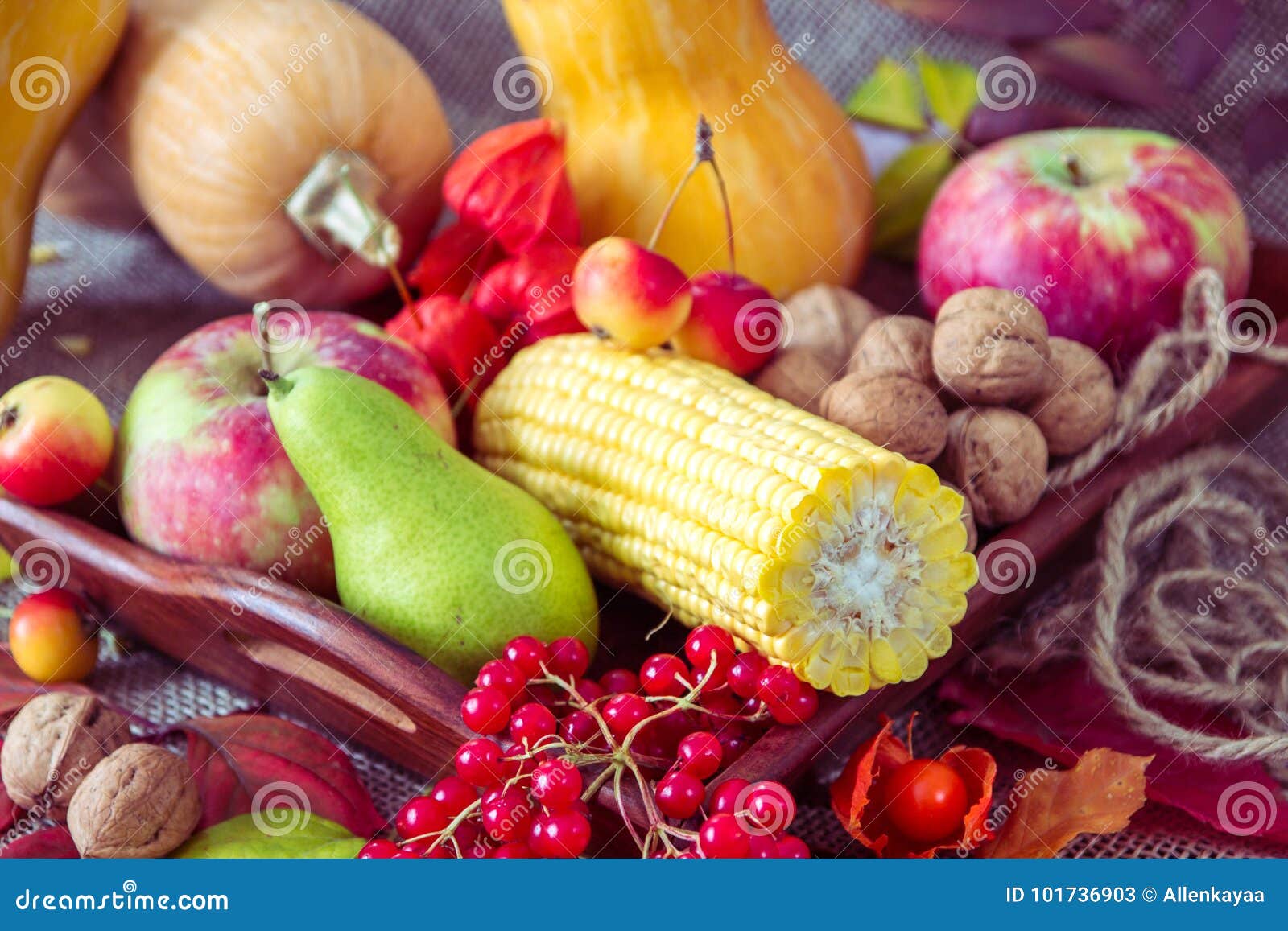 Autumn Vegetables, Berries and Fruits. Seasonal Autumn Food - Pu Stock ...