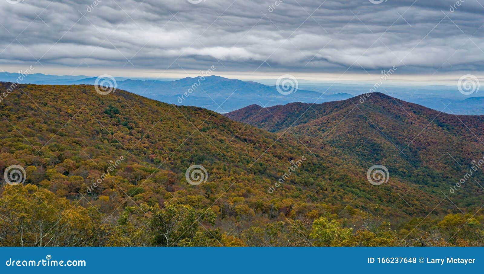 autumn view of the blue ridge mountains, virginia, usa