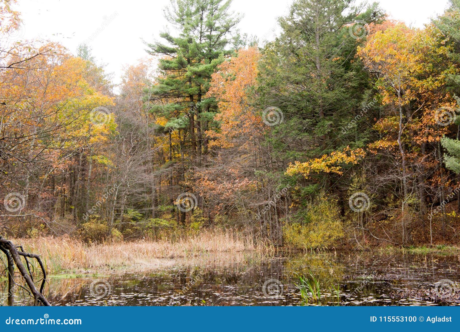 Autumn View Della St Moritz Pond, Quincy, Massachusetts Fotografia