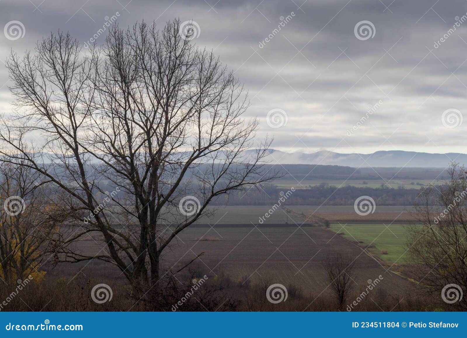 autumn view with fog and clouds over the mountain.