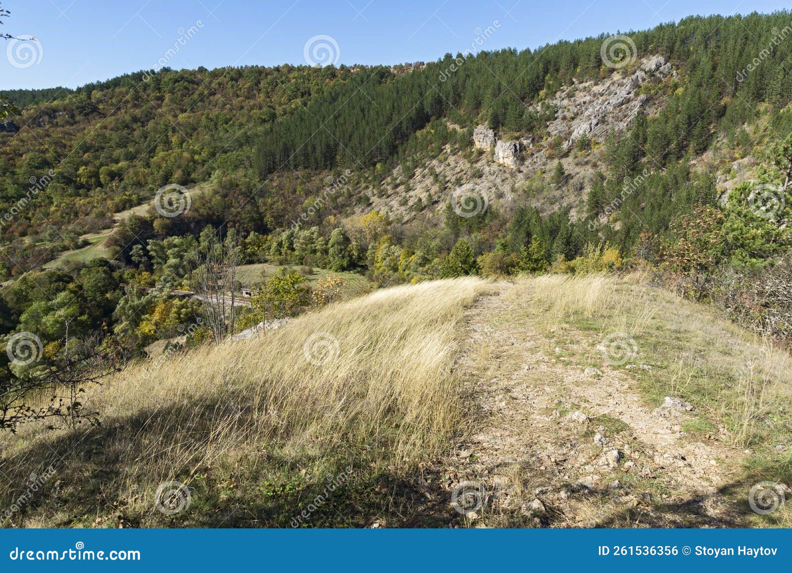 autumn view of nishava river gorge, bulgaria