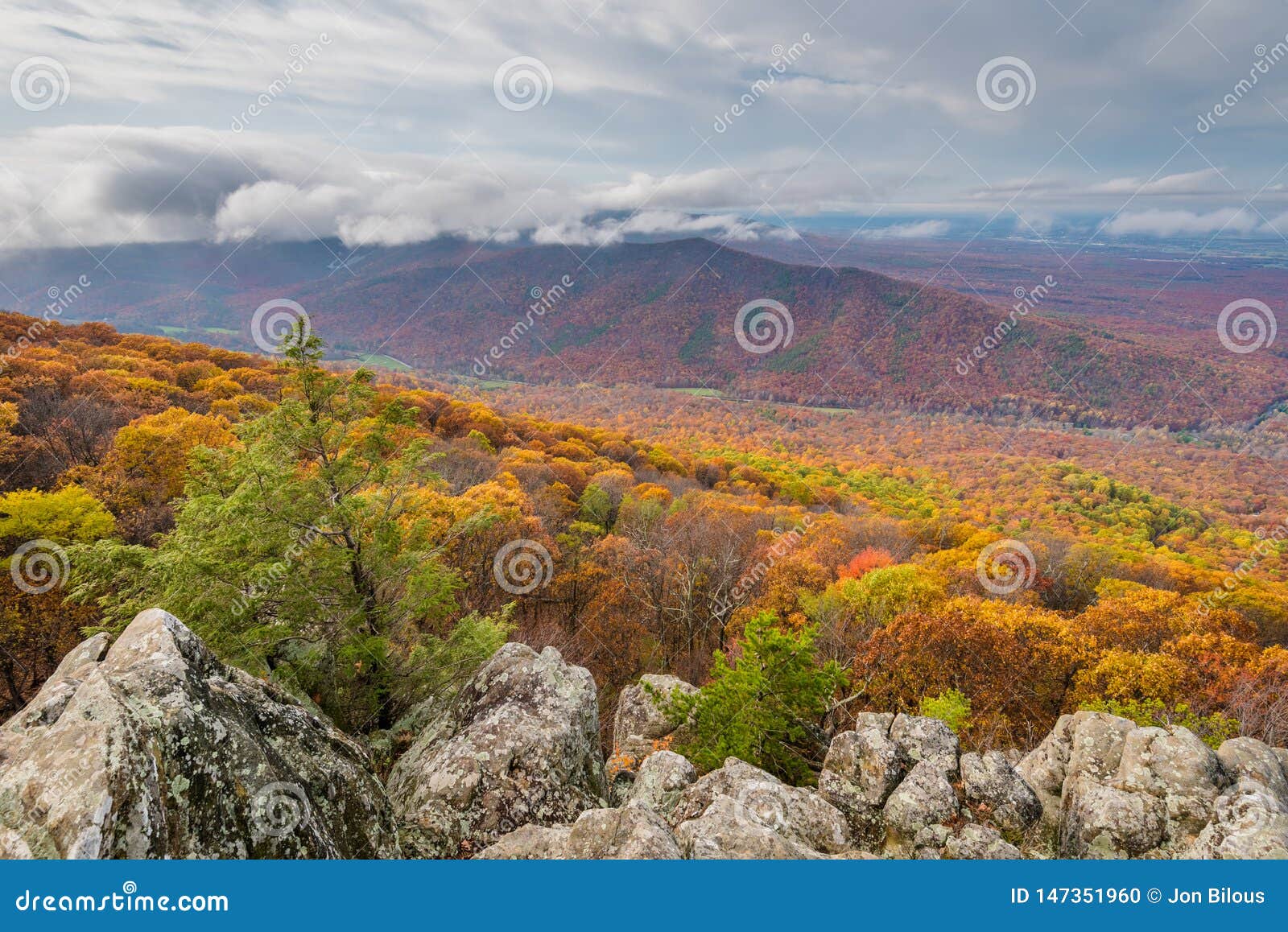 autumn view from ravens roost overlook, on the blue ridge parkway in virginia