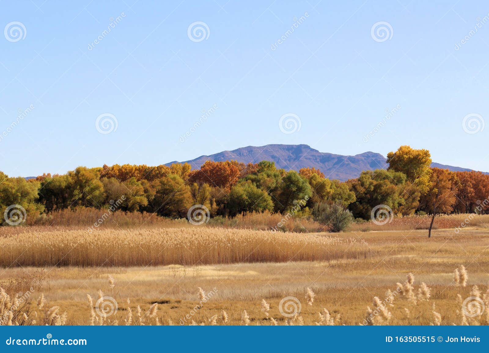 autumn scene at bosque del apache