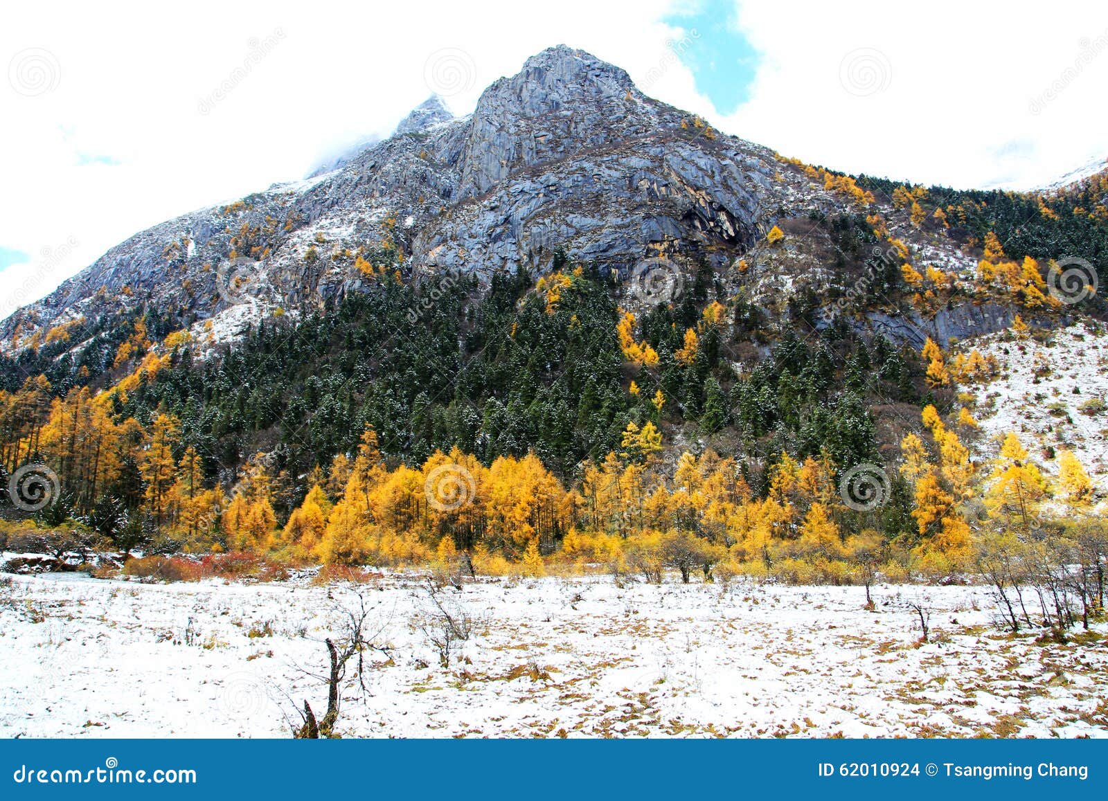 the autumn views of bipengou in sichuan
