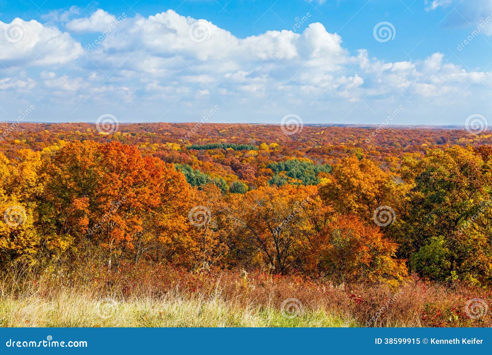 autumn vista