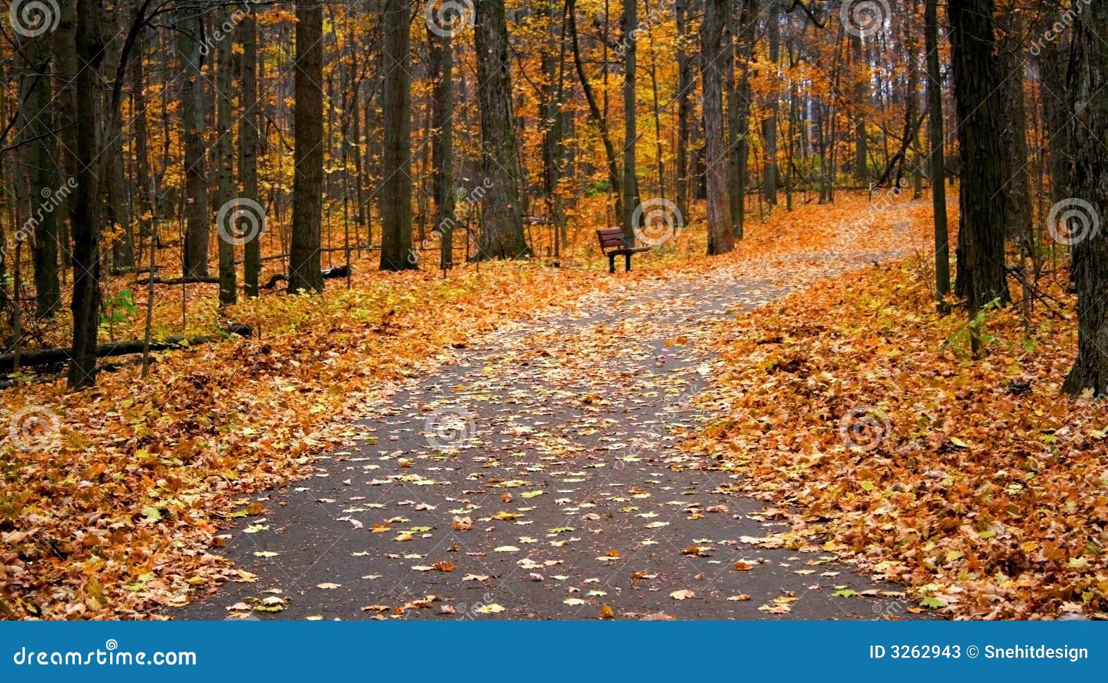 Autumn Walk Way Stock Photos - Image: 3262943