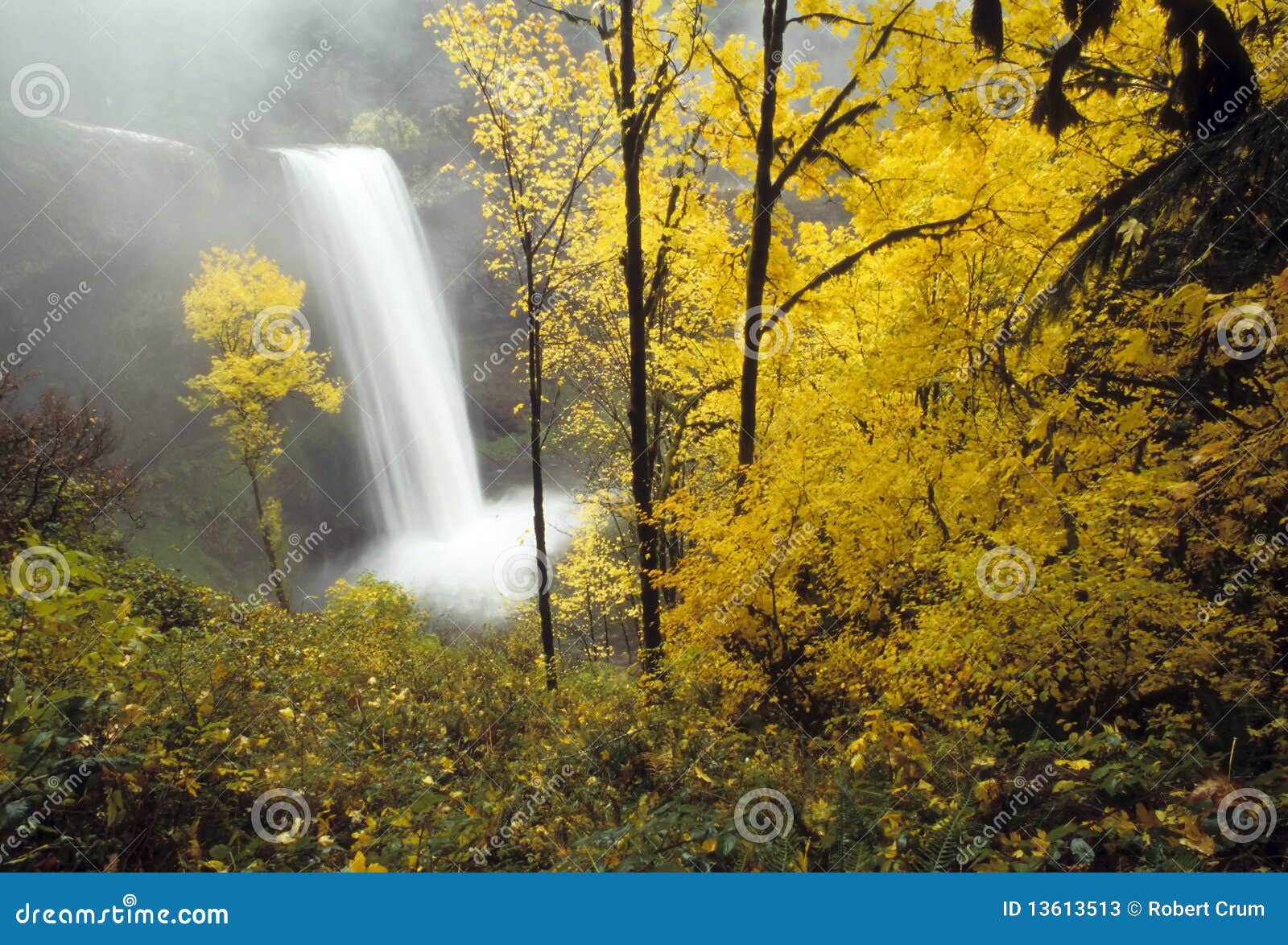 Autumn Waterfalls Stock Image Image Of Waterfalls Leaves 13613513