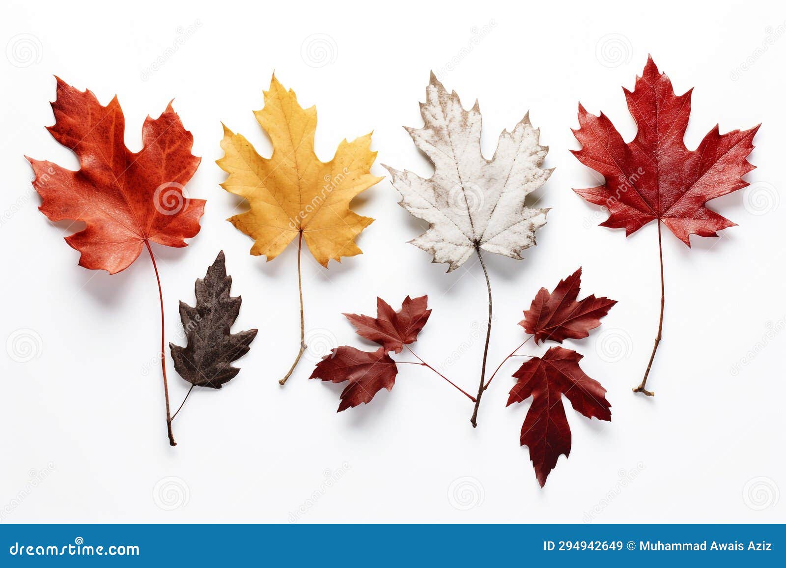 Autumn and Winter Leaves Isolated on White Background Ai Generated