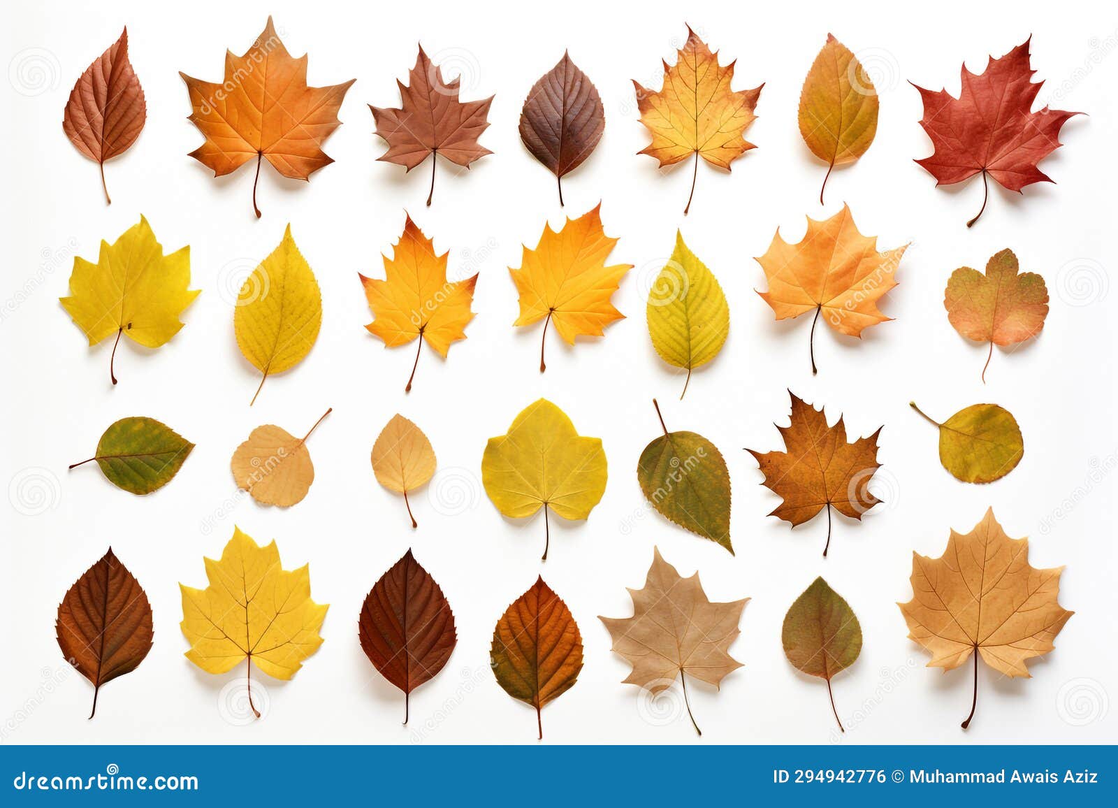 Autumn and Winter Leaves Isolated on White Background Ai Generated