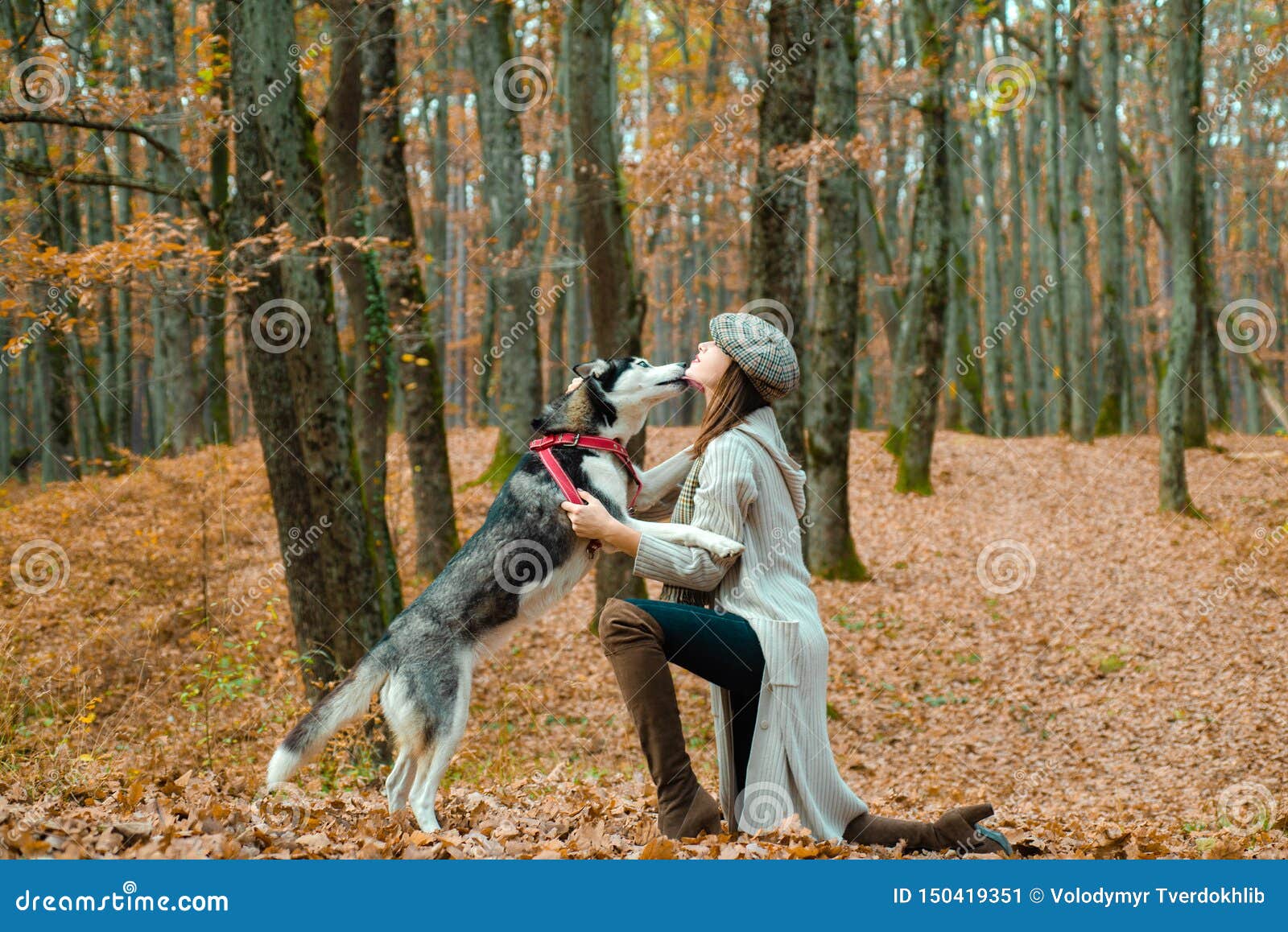 autumn womanin park. beautiful young woman playing with funny husky dog outdoors at park. autumn time, november.