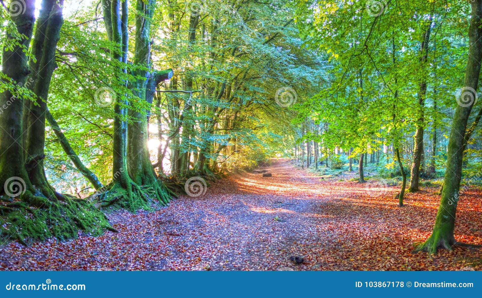 138 Woodbury Common Stock Photos - Free & Royalty-Free Stock Photos from  Dreamstime