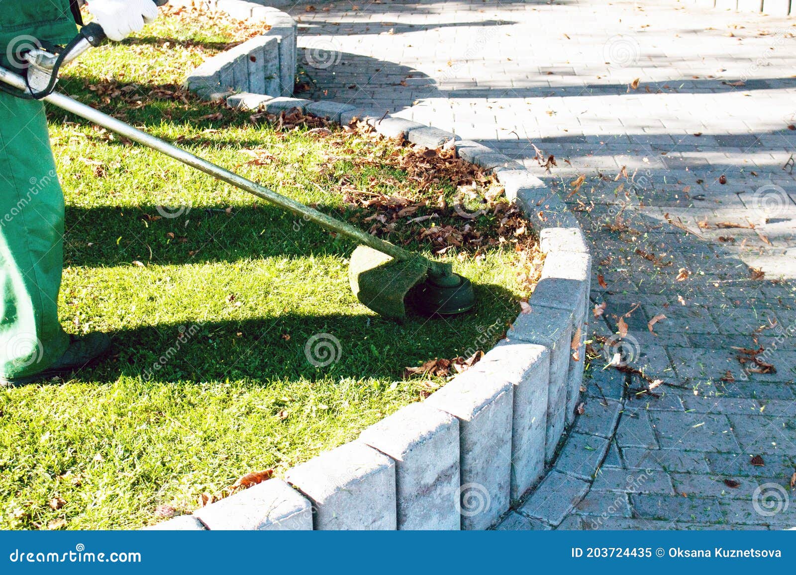 The Gardener Cuts the Grass before Winter Stock Image Image of