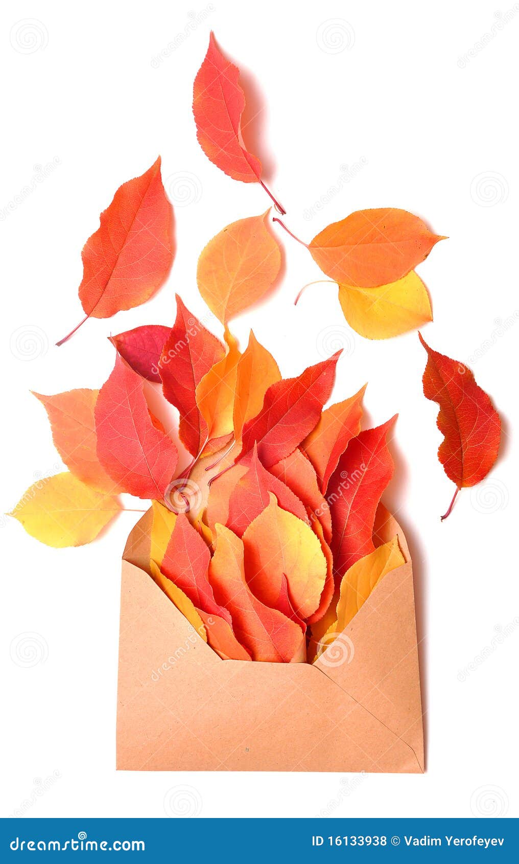 Autumnal envelope. Autumn letter - an envelope and autumn leaf on white