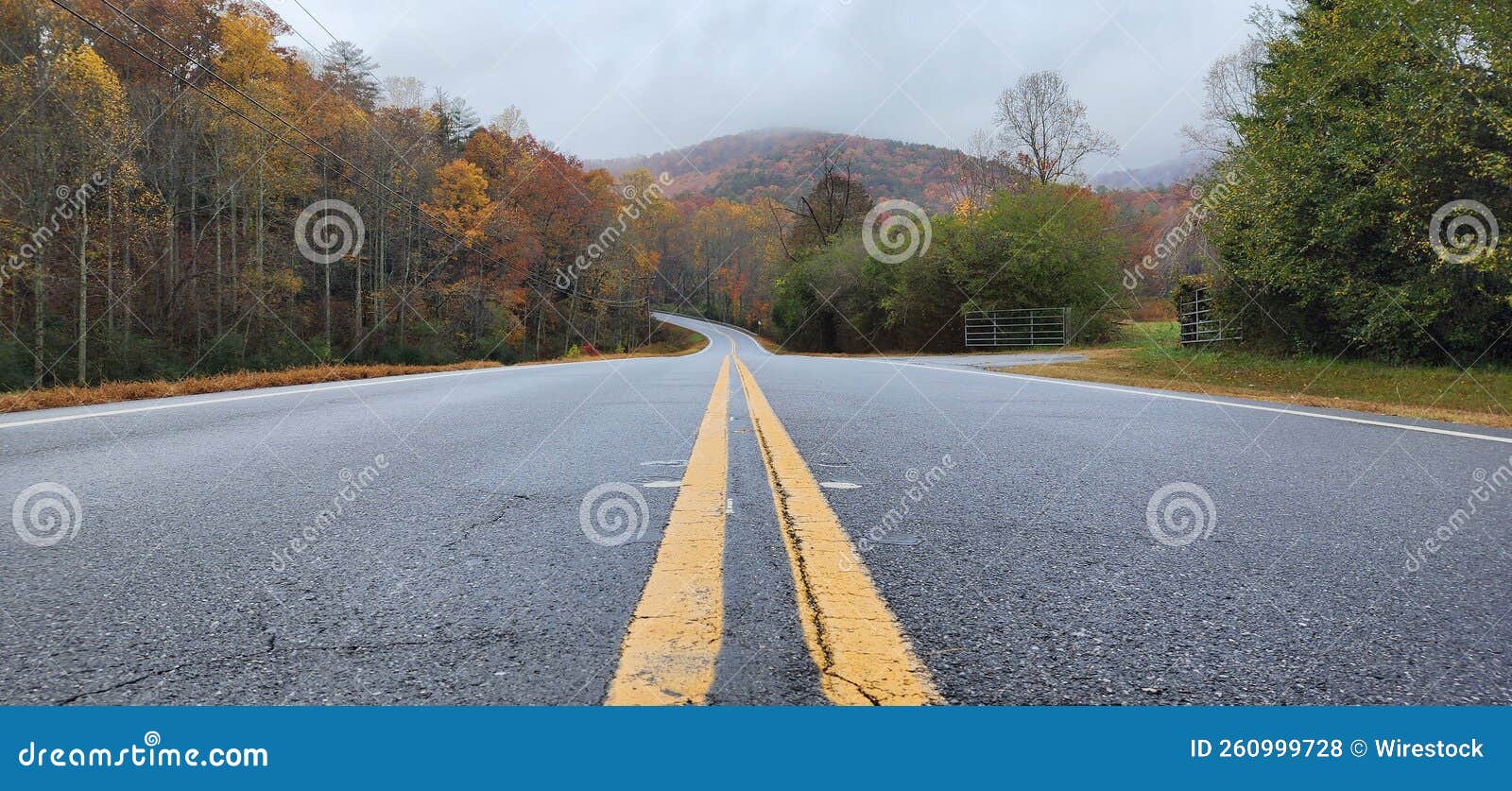 Autumnal Forest And A Straight Asphalt Road With Yellow Lanes In The