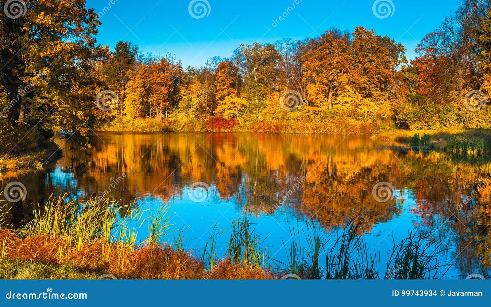 autunm landscape, perfect fall scenery