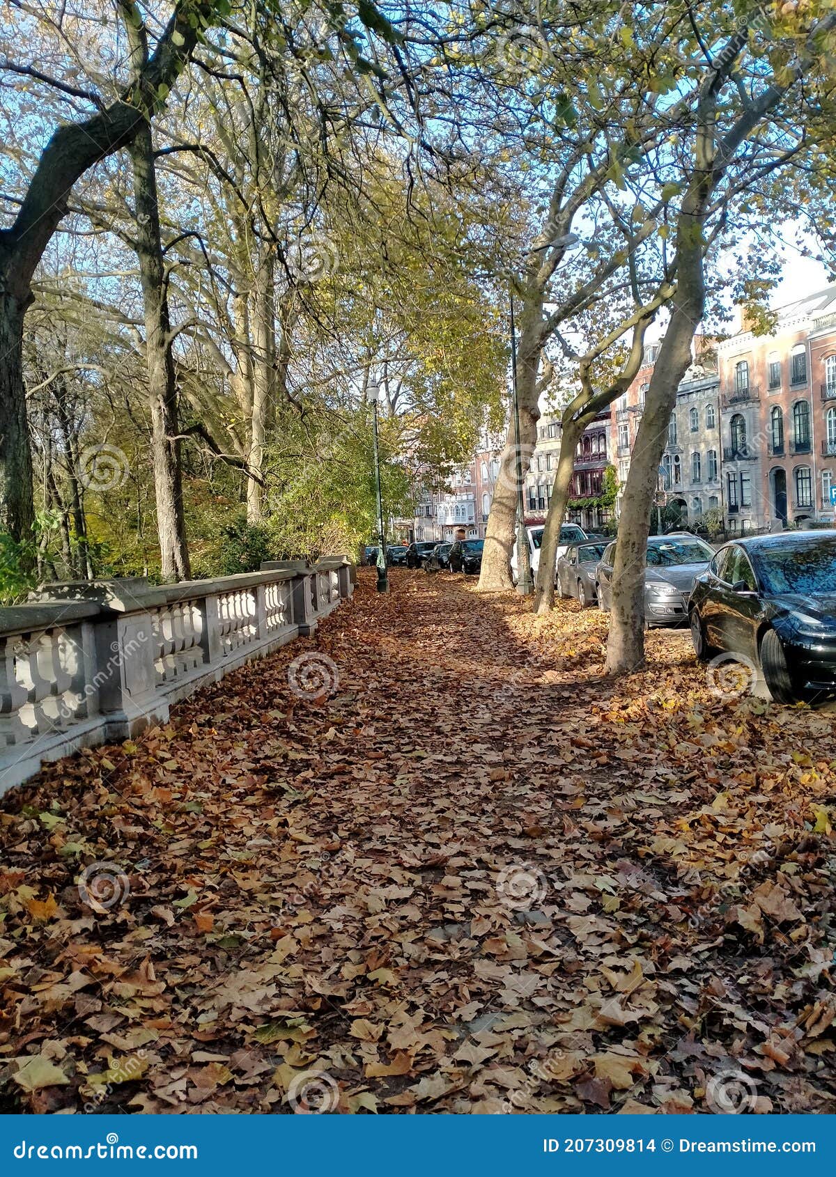 autunno colours & x28;belgium& x29;