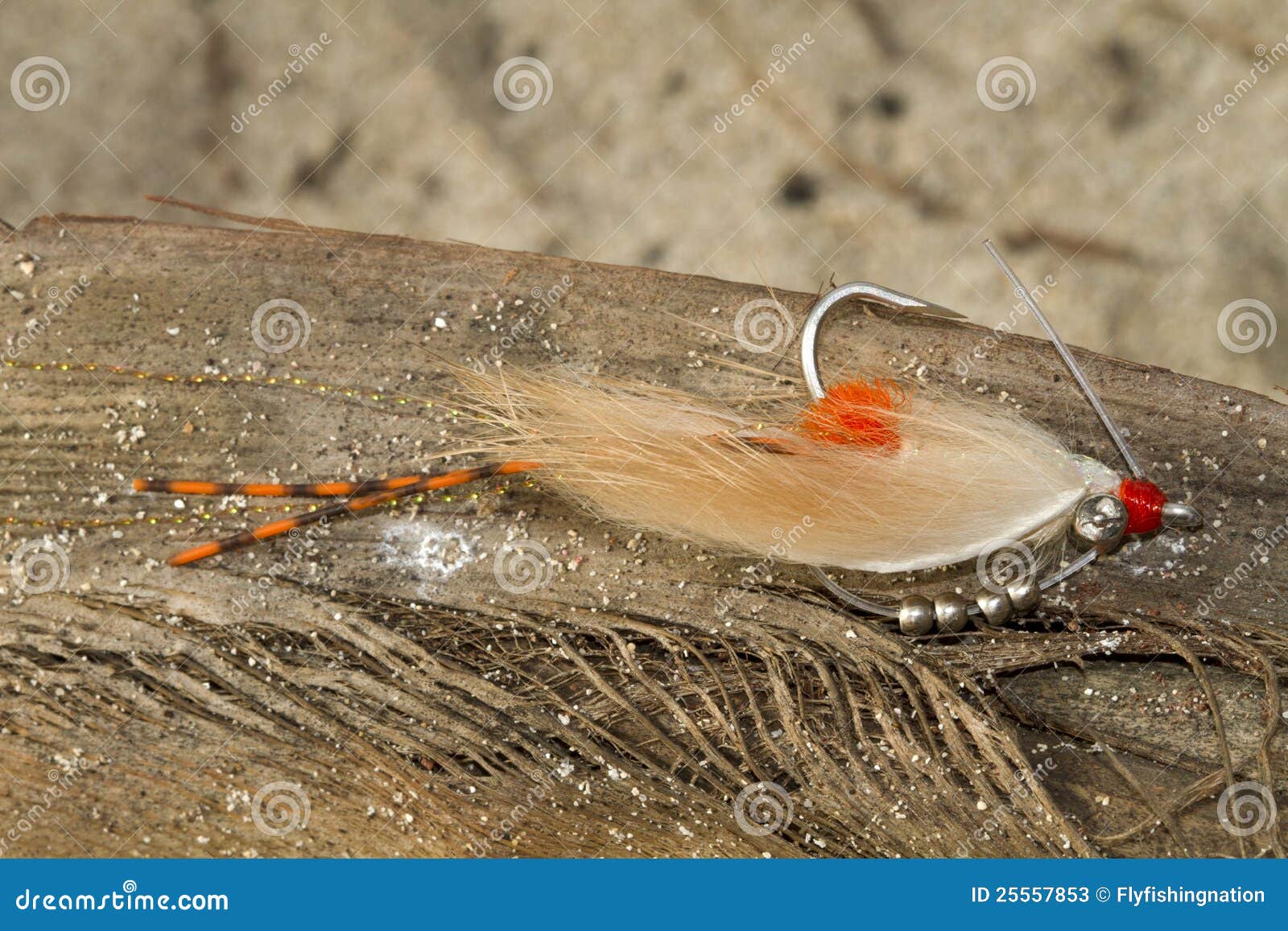 Avalon Bonefish Permit Fly Fly Fishing Stock Image Image of baits