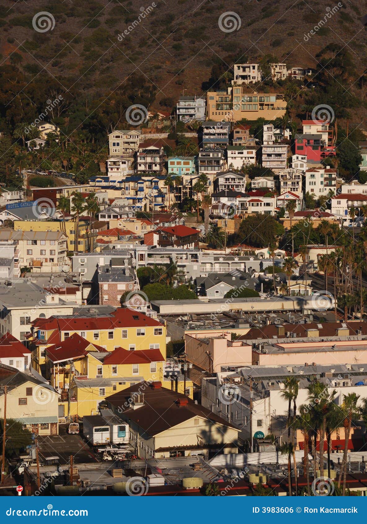 Avalon Homes stock photo. Image of residence, hillside 3983606