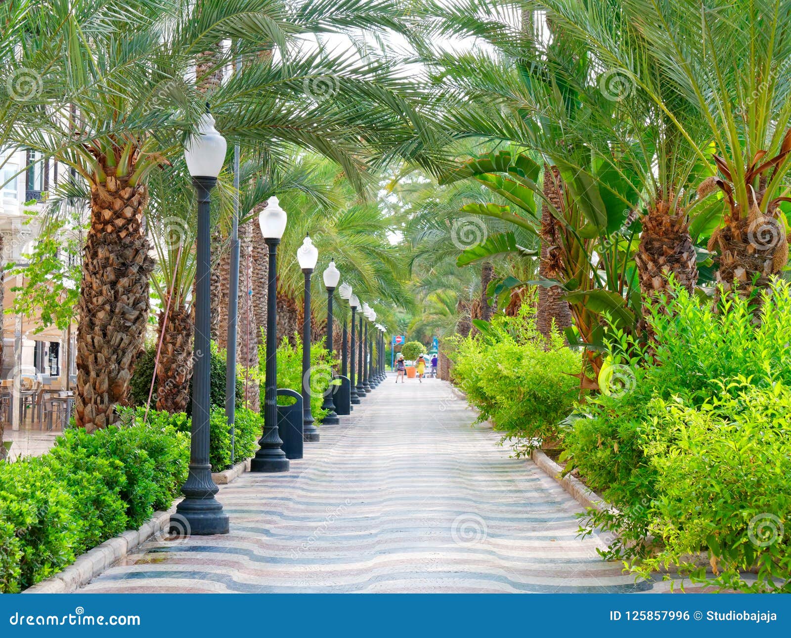 avenue of palms in alicante. main promenade for tourists explanada. spain.