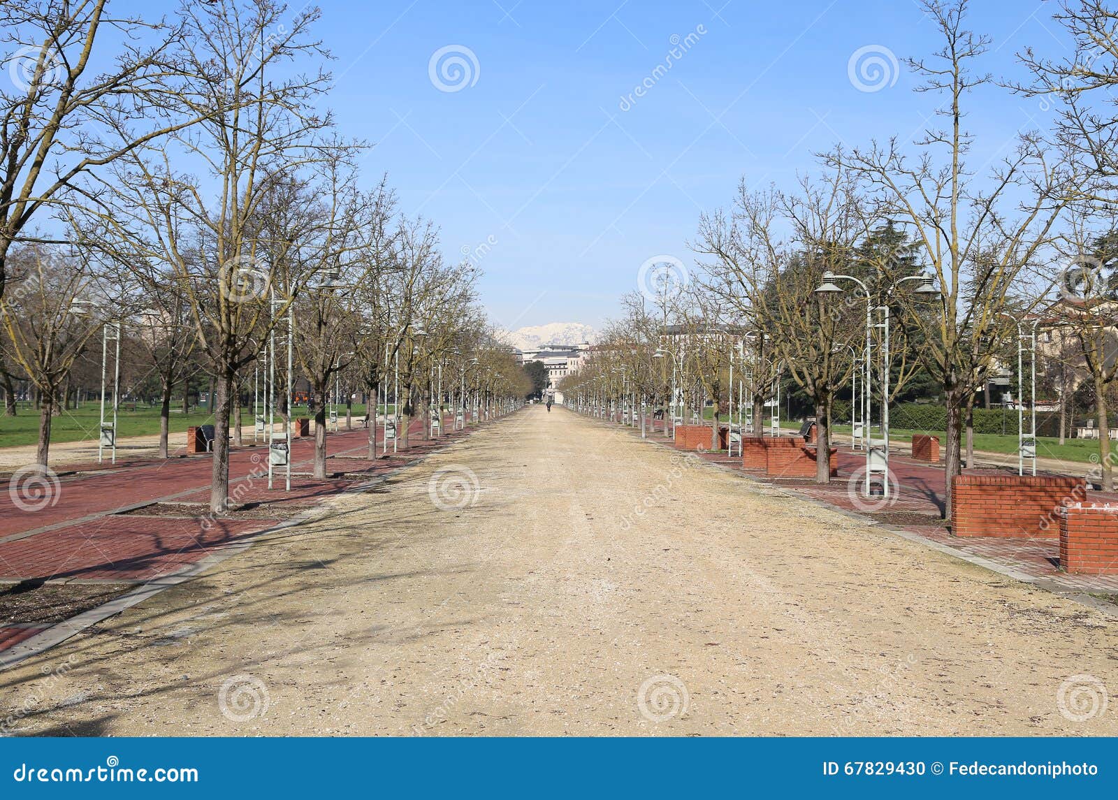 avenue in the public park called campo marzo in vicenza