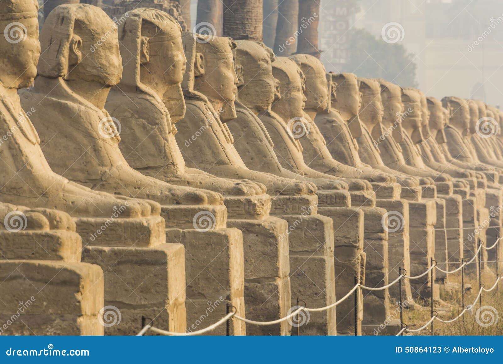 avenue of the sphinxes, luxor temple, egypt