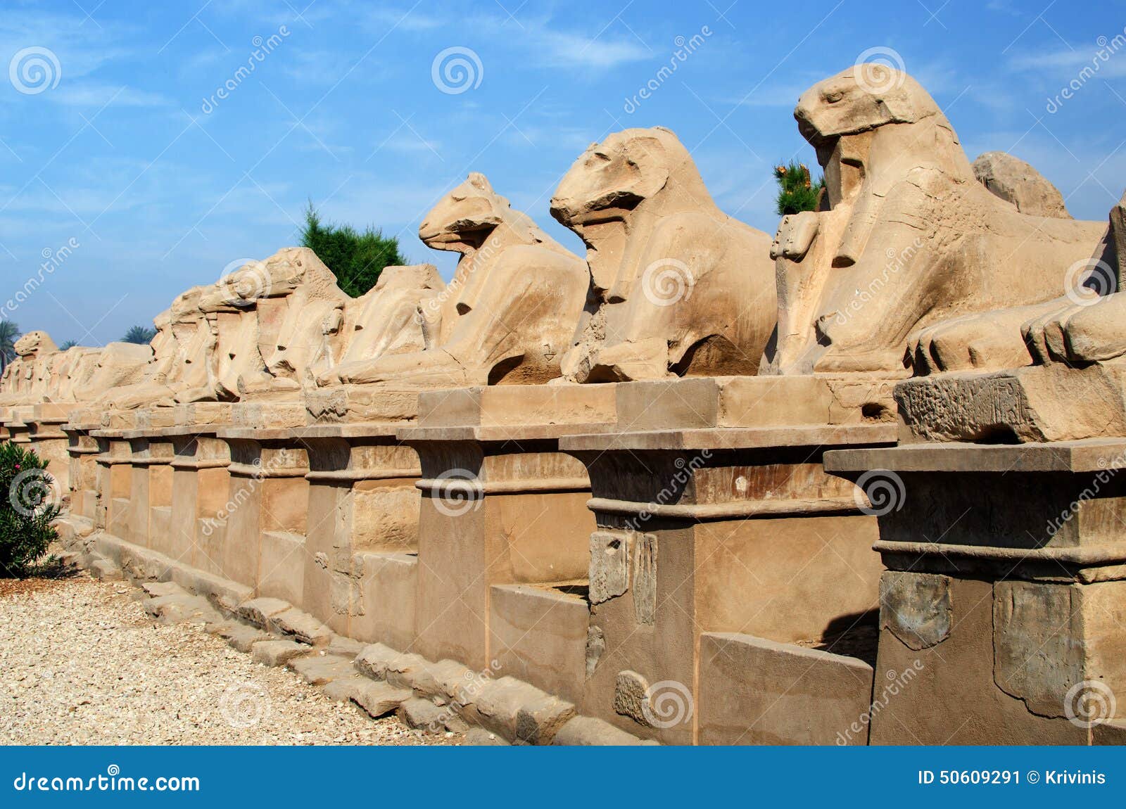 avenue of sphinxes in precinct of amun-re (karnak temple complex, luxor, egypt)